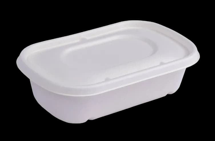 Bekas Makanan 500ml 1