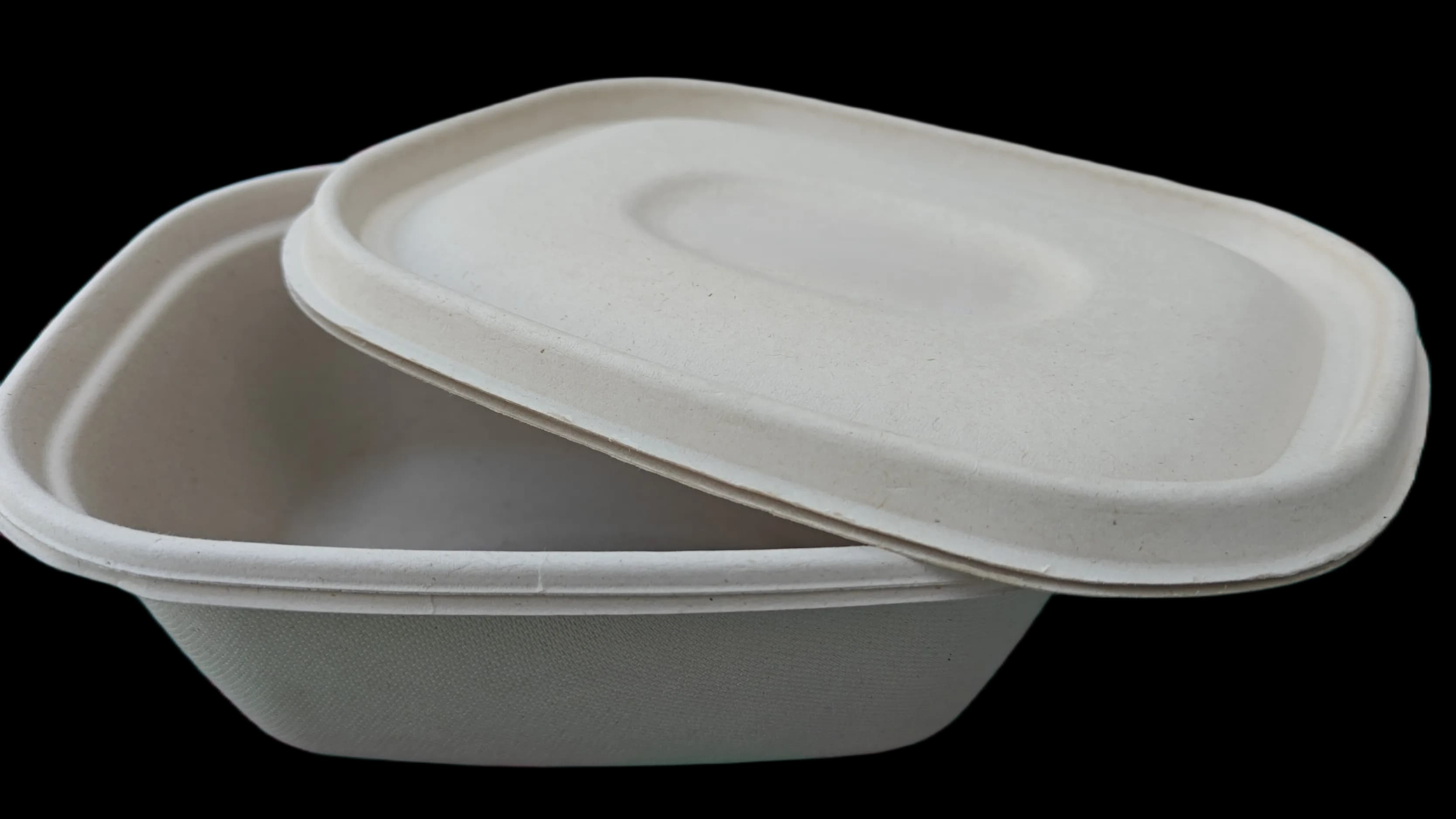 Bekas Makanan 500ml 6