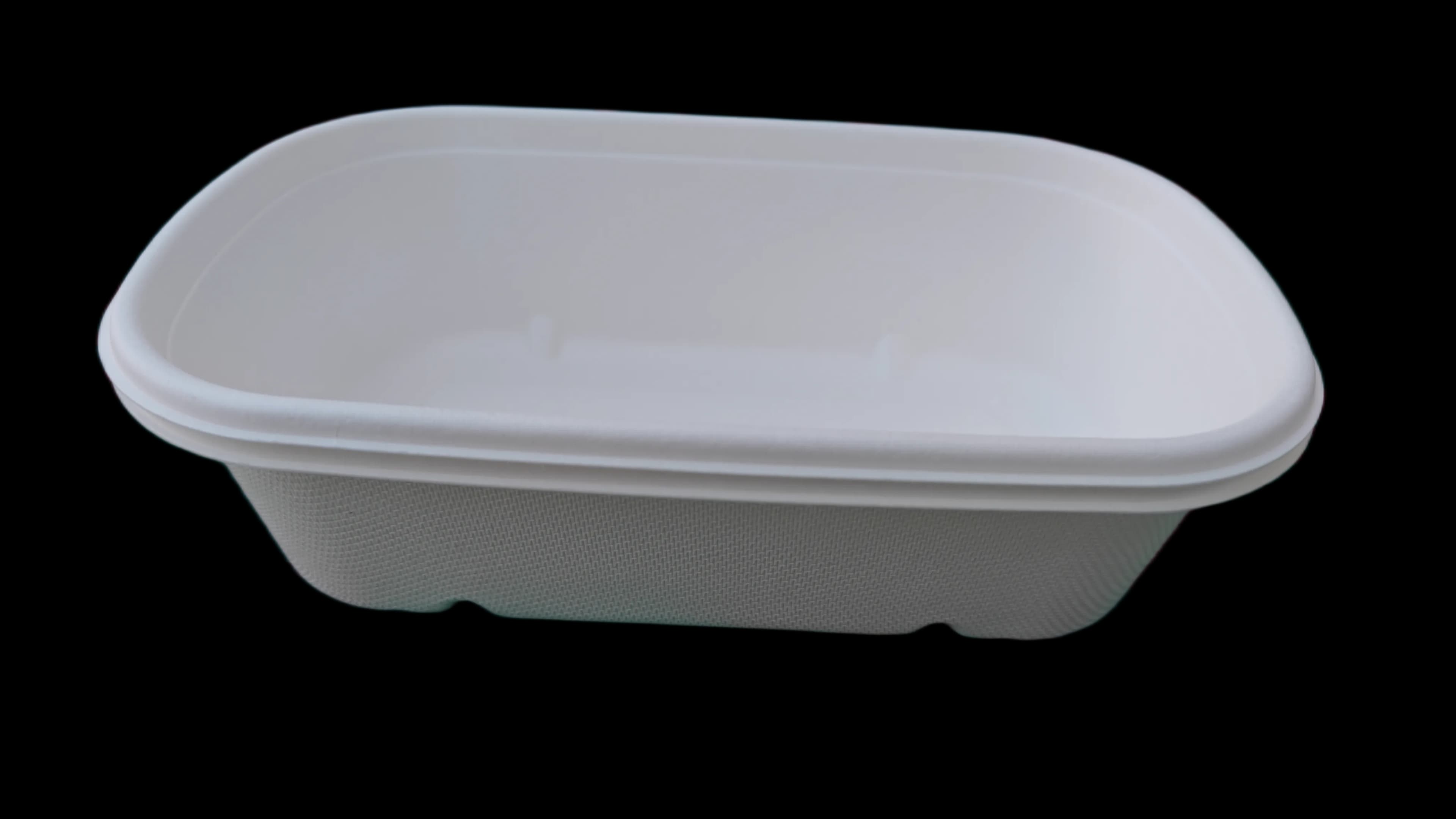 Bekas Makanan 500ml 7