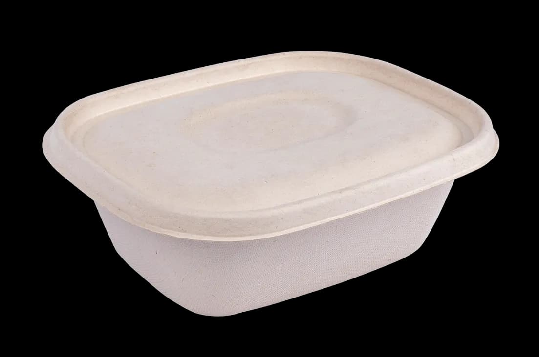 Bekas Makanan 500ml 9